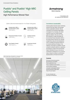 Gypsum panel for ceiling
